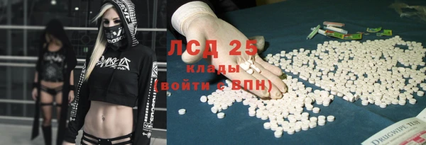 крисы Няндома