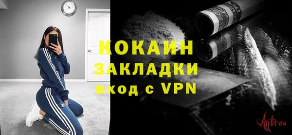 крисы Няндома