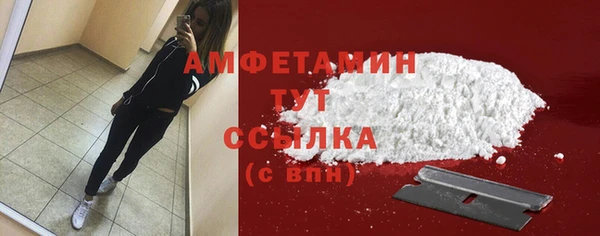 крисы Няндома