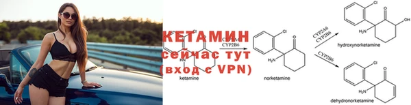 стафф Новокубанск