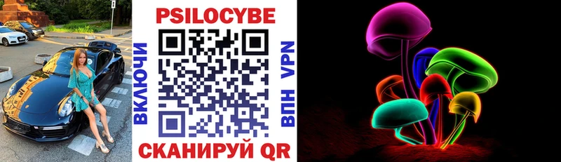 Псилоцибиновые грибы Psilocybe  Миллерово 